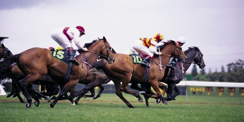 iiri grand national