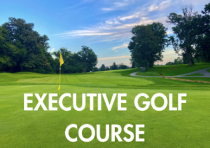 Read more about the article Executive Golf Course: A Quick Guide